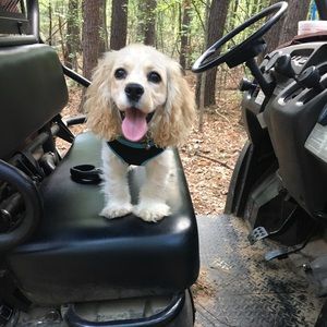 Meet your Posher, Erin